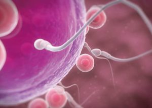 卵子と受精しようとしている精子の神秘的な絵｜不妊治療HP
