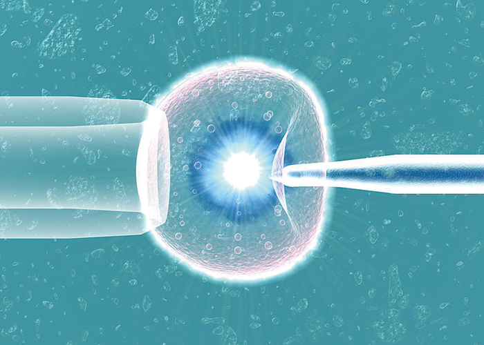 体外受精で卵子に精子を注入している絵｜不妊治療HP