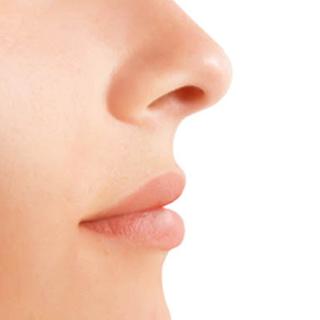 女性の鼻の写真｜不妊治療HP