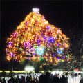 中山競馬場のクリスマスツリー｜不妊治療HP